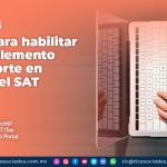 Pasos para habilitar el Complemento Carta Porte en portal del SAT