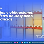 Beneficios y obligaciones del Registro de Despacho de Mercancías