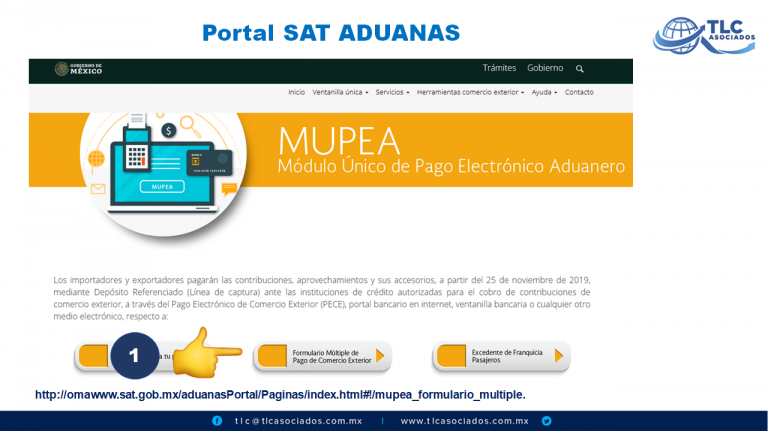 Formulario Múltiple de Pago de Comercio Exterior: Pago del