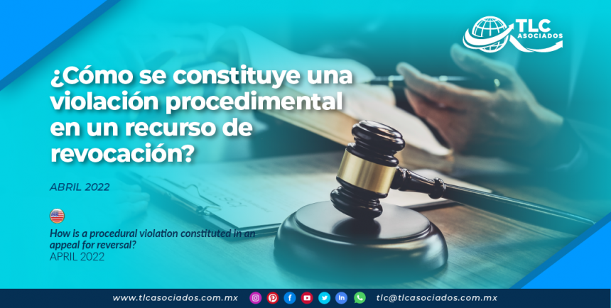 ¿Cómo se constituye una violación procedimental en un recurso de revocación?