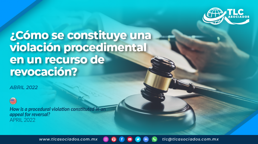 ¿Cómo se constituye una violación procedimental en un recurso de revocación?