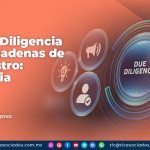 Debida Diligencia en las Cadenas de Suministro: Alemania