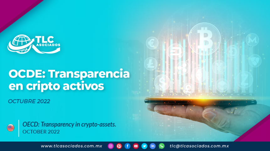 OCDE: Transparencia en cripto activos