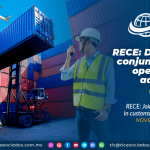 RECE: Despacho conjunto en las operaciones aduaneras