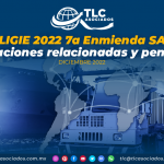LIGIE 2022 “7a Enmienda SA”: Publicaciones relacionadas y pendientes