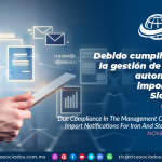 Debido cumplimiento en la gestión de los Avisos Automáticos de Importación de Siderúrgicos