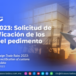 RGCE 2023: Solicitud de la rectificación de los datos del pedimento