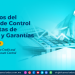 Elementos del Sistema de Control de Cuentas de Créditos y Garantías