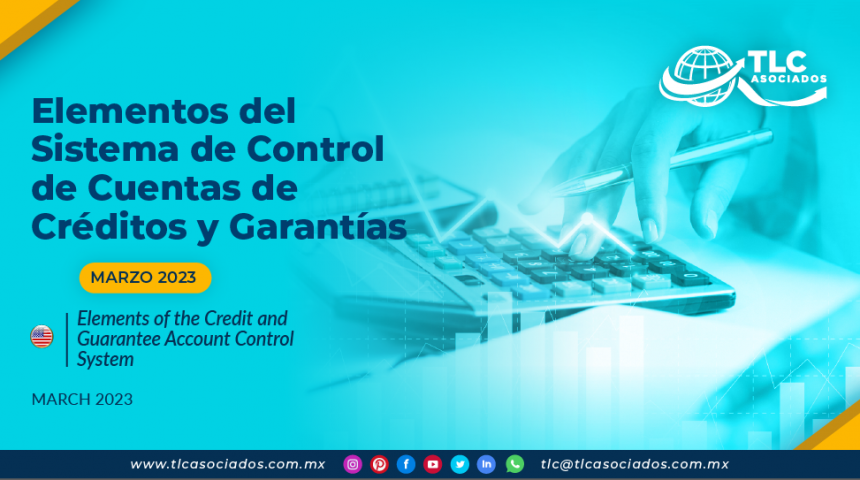 Elementos del Sistema de Control de Cuentas de Créditos y Garantías