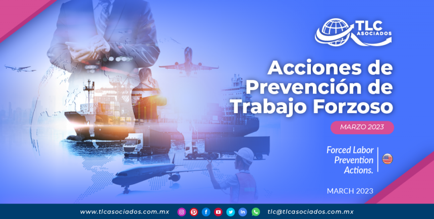 Acciones de Prevención de Trabajo Forzoso