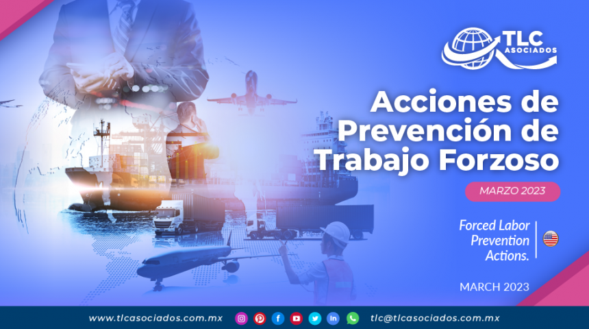 Acciones de Prevención de Trabajo Forzoso