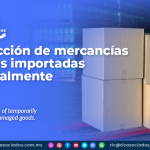 Destrucción de mercancías dañadas importadas temporalmente