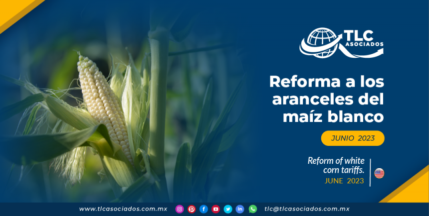 Reforma a los aranceles del maíz blanco