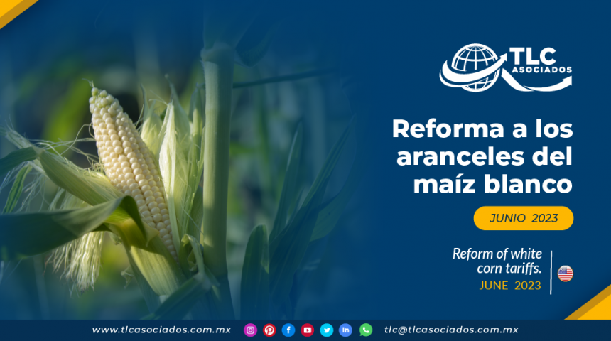 Reforma a los aranceles del maíz blanco