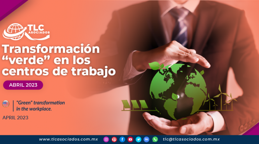 Transformación “verde” en los centros de trabajo