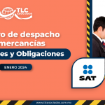 Registro de despacho de mercancías Facilidades y Obligaciones