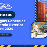 Anexos de las Reglas Generales de Comercio Exterior para 2024