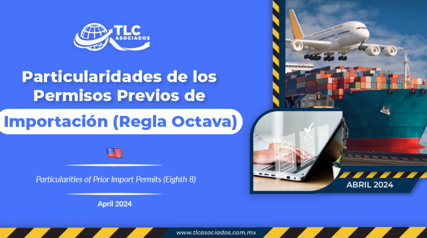 Particularidades de los Permisos Previos de Importación (Regla Octava)