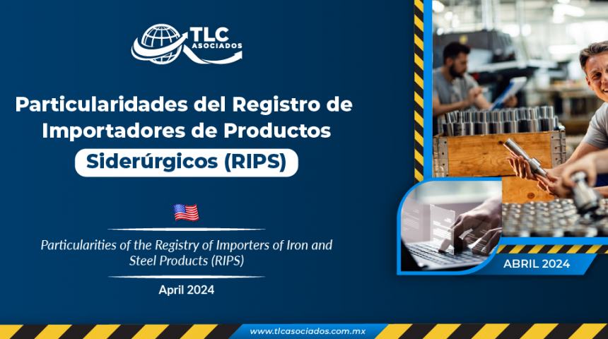 Particularidades del Registro de Importadores de Productos Siderúrgicos (RIPS)