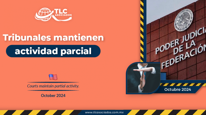 Tribunales mantienen actividad parcial
