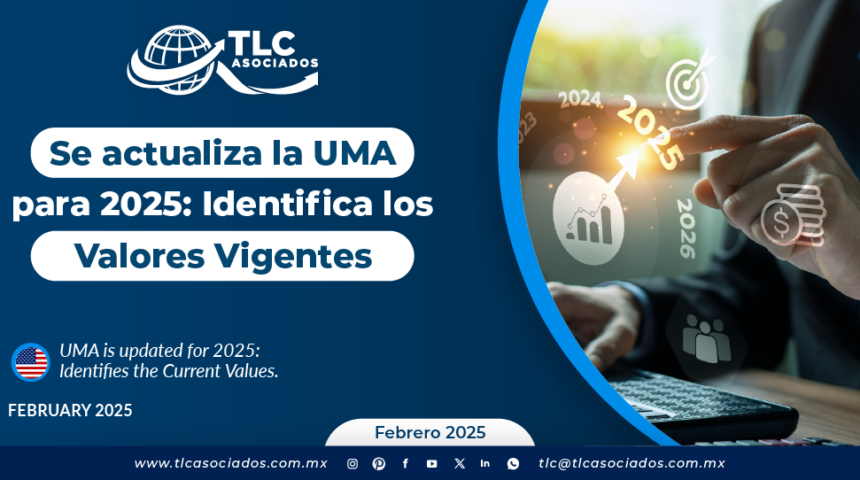 Se actualiza la UMA para 2025: Identifica los Valores Vigentes
