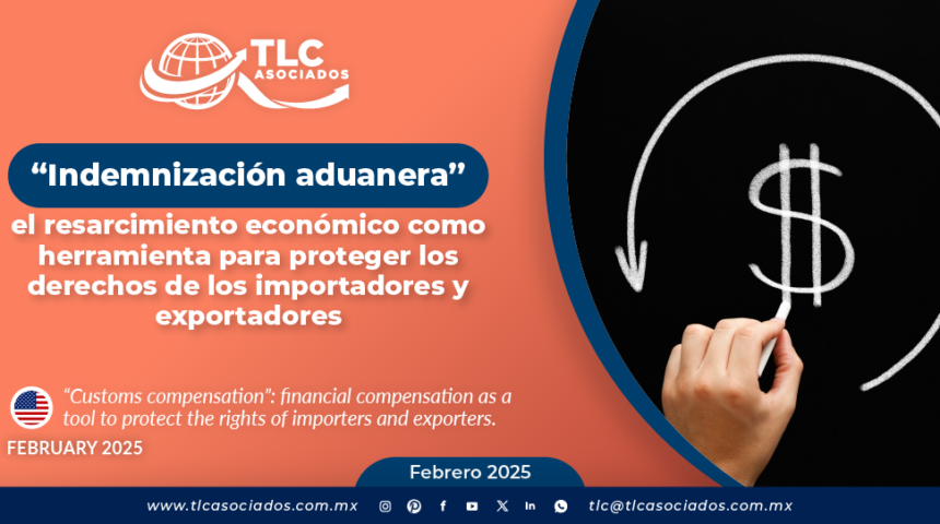 “Indemnización aduanera”, el resarcimiento económico como herramienta para proteger los derechos de los importadores y exportadores