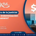 ¡La aventura de la justicia! ¿Es justa la indemnización aduanera?