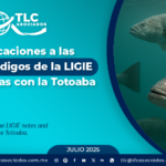 Modificaciones a las notas y códigos de la LIGIE relacionadas con la Totoaba