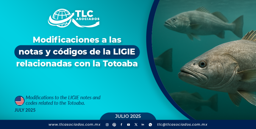 Modificaciones a las notas y códigos de la LIGIE relacionadas con la Totoaba