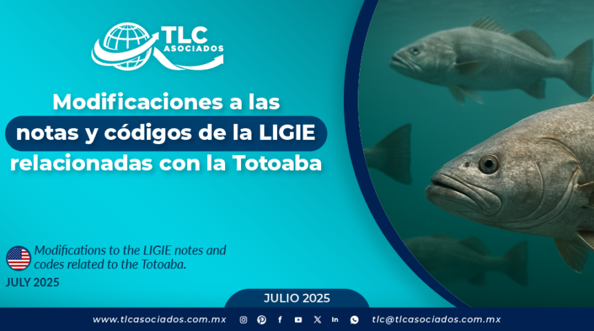 Modificaciones a las notas y códigos de la LIGIE relacionadas con la Totoaba