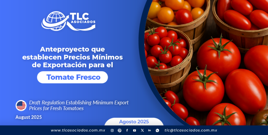 Anteproyecto que establecen Precios Mínimos de Exportación para el Tomate Fresco