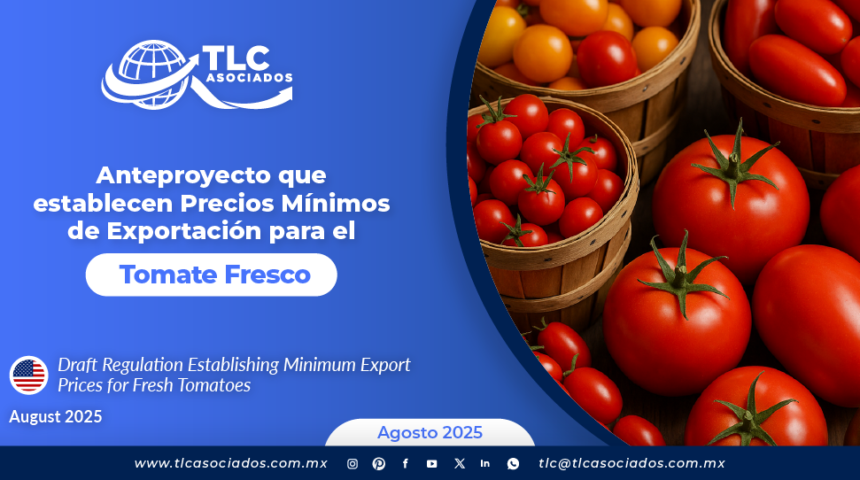 Anteproyecto que establecen Precios Mínimos de Exportación para el Tomate Fresco