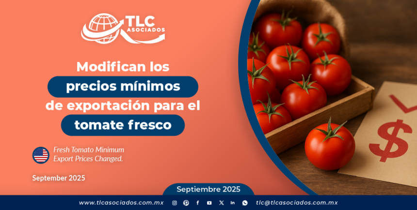 Modifican los precios mínimos de exportación para el tomate fresco
