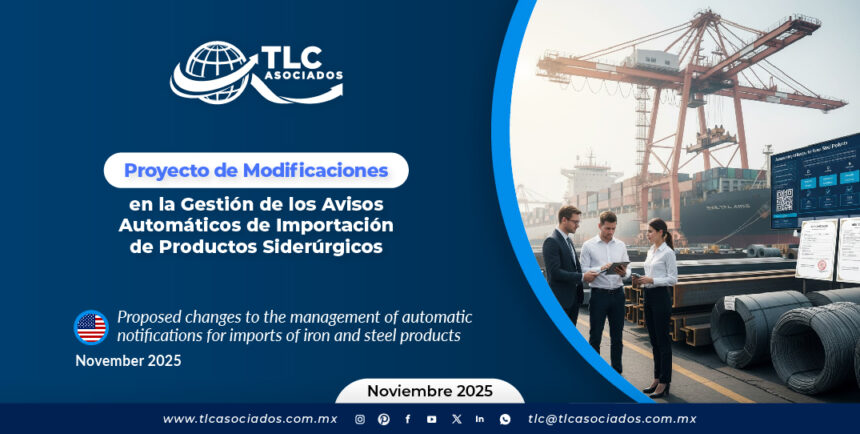 Proyecto de Modificaciones en la Gestión de los Avisos Automáticos de Importación de Productos Siderúrgicos