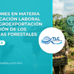 Regulaciones en materia de certificación laboral para la Agroexportación y Protección de los Ecosistemas Forestales