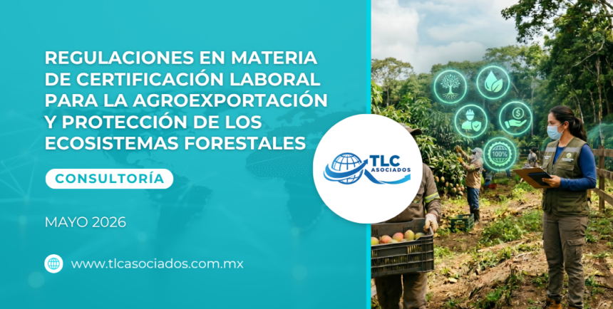 Regulaciones en materia de certificación laboral para la Agroexportación y Protección de los Ecosistemas Forestales