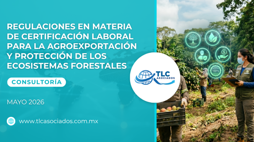 Regulaciones en materia de certificación laboral para la Agroexportación y Protección de los Ecosistemas Forestales