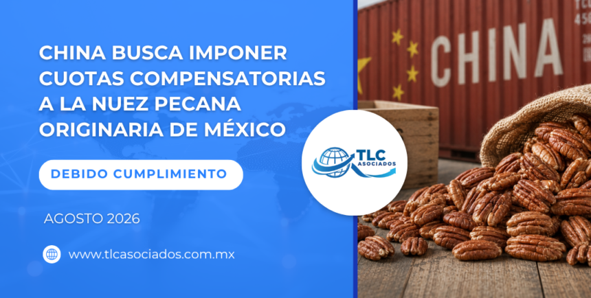 China busca imponer cuotas compensatorias a la nuez pecana originaria de México