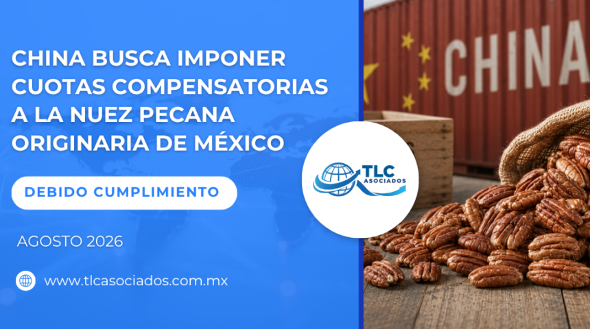 China busca imponer cuotas compensatorias a la nuez pecana originaria de México
