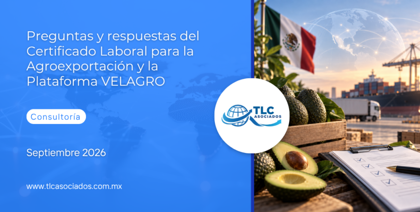 Preguntas y respuestas del Certificado Laboral para la Agroexportación y la Plataforma VELAGRO