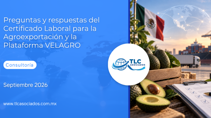 Preguntas y respuestas del Certificado Laboral para la Agroexportación y la Plataforma VELAGRO