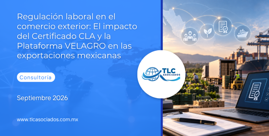 Regulación laboral en el comercio exterior: El impacto del Certificado CLA y la Plataforma VELAGRO en las exportaciones mexicanas
