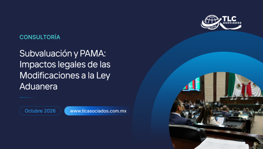 Subvaluación y PAMA: Impactos legales de las Modificaciones a la Ley Aduanera